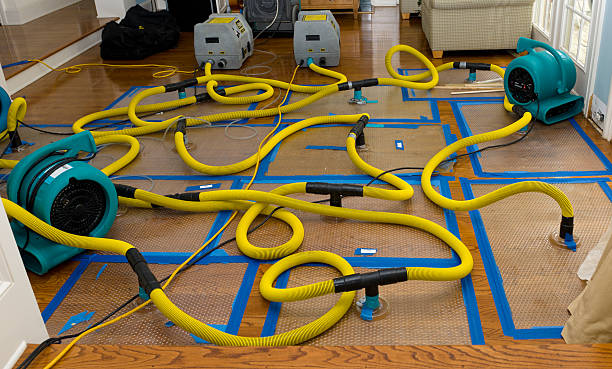 Professional Crawl Space Water Removal technician working in Catawissa, MO